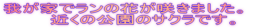 䂪ƂŃ̉Ԃ炫܂B @@@߂̌̃TNłB 